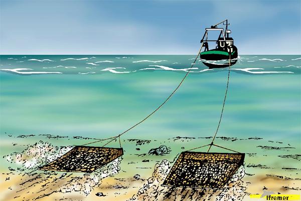 what is dredge fishing